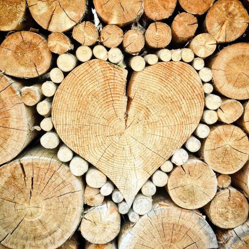 Produkte aus Holz